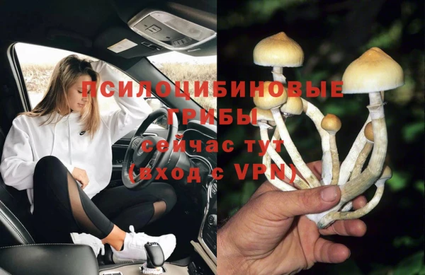 PSILOCYBIN Богданович